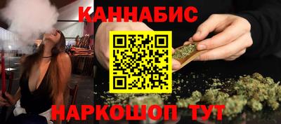 дмт Гай