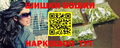 дмт Гай