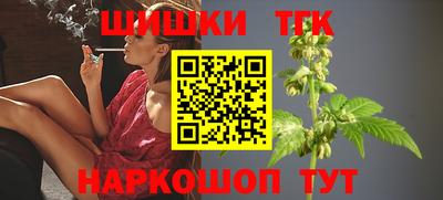дмт Гай