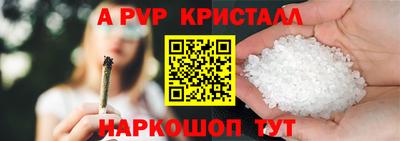 крисы Гагарин