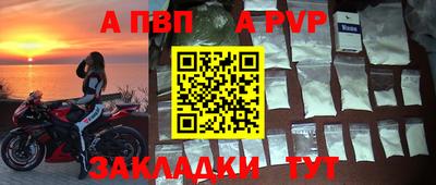 дмт Гай