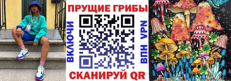 Псилоцибиновые грибы Magic Shrooms  даркнет сайт  Вязники 